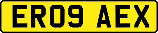 ER09AEX