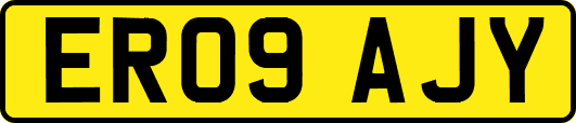 ER09AJY
