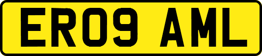 ER09AML
