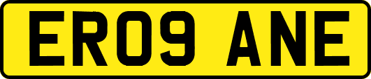 ER09ANE