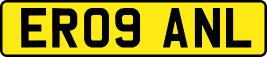 ER09ANL