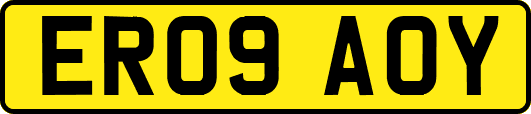 ER09AOY