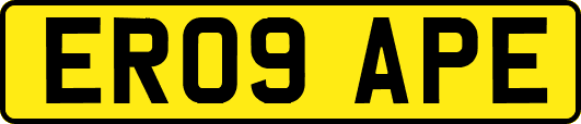 ER09APE