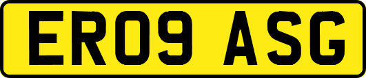 ER09ASG