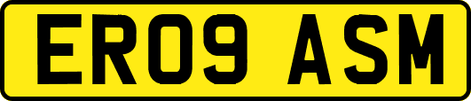 ER09ASM