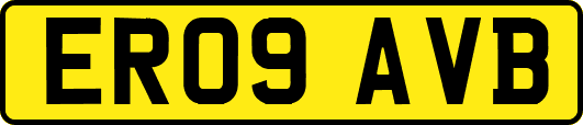 ER09AVB