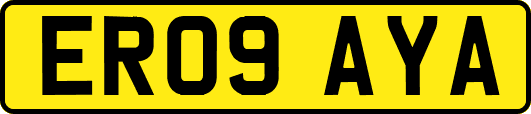 ER09AYA