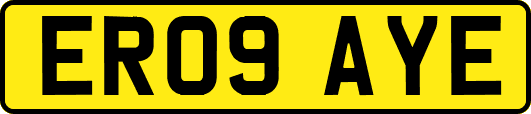 ER09AYE