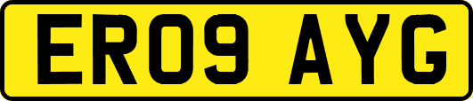 ER09AYG