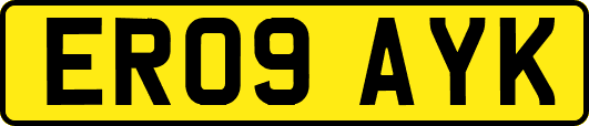 ER09AYK