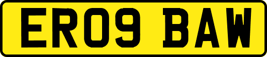 ER09BAW