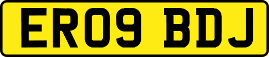 ER09BDJ