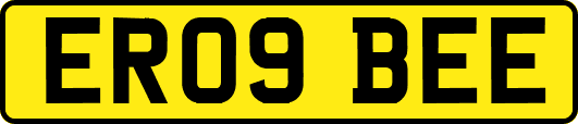 ER09BEE