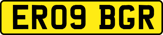 ER09BGR