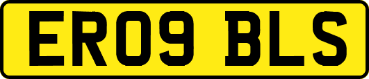 ER09BLS