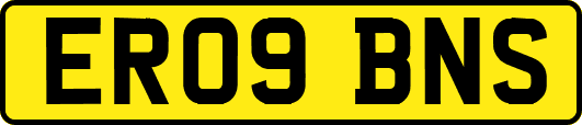 ER09BNS