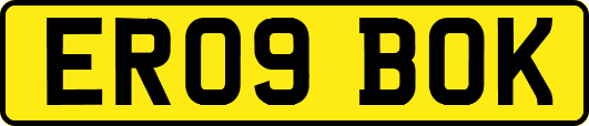ER09BOK