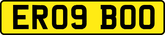 ER09BOO