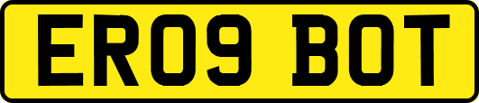 ER09BOT