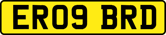 ER09BRD