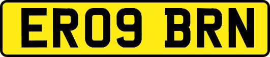 ER09BRN