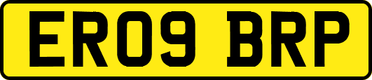 ER09BRP