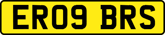 ER09BRS