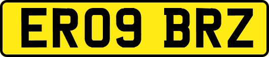 ER09BRZ