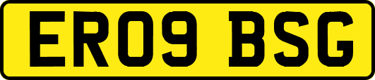 ER09BSG