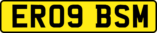 ER09BSM