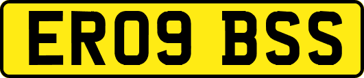 ER09BSS