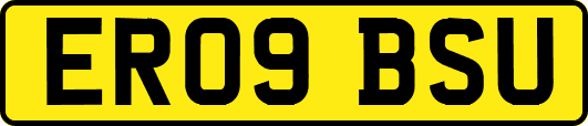 ER09BSU