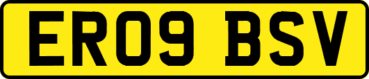ER09BSV