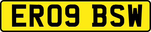 ER09BSW