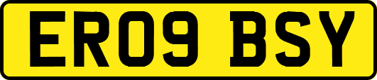 ER09BSY
