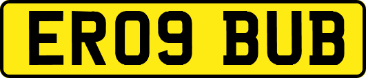 ER09BUB