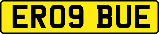 ER09BUE