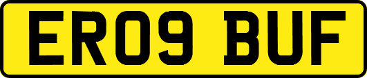 ER09BUF