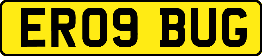 ER09BUG