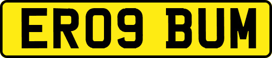 ER09BUM