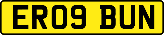 ER09BUN