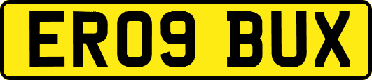 ER09BUX