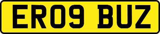 ER09BUZ
