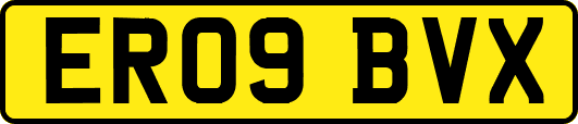 ER09BVX