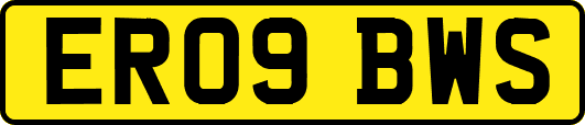 ER09BWS