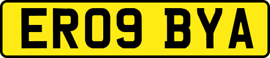 ER09BYA
