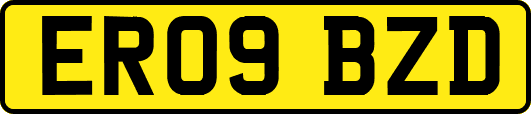 ER09BZD