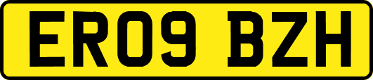 ER09BZH