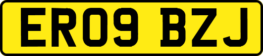ER09BZJ
