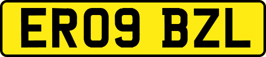 ER09BZL
